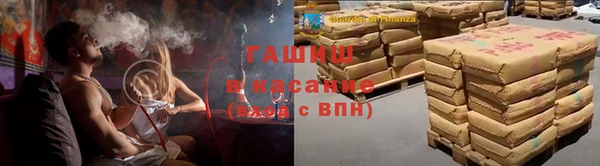 гидра Богородск