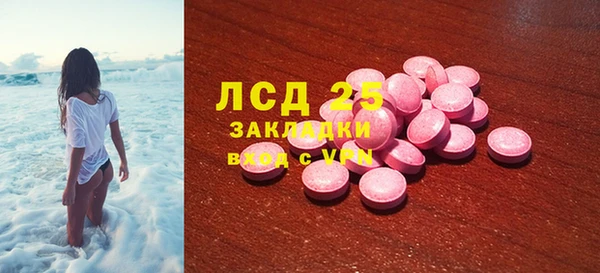 гидра Богородск