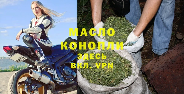гидра Богородск
