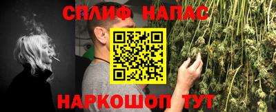 сатива Балахна