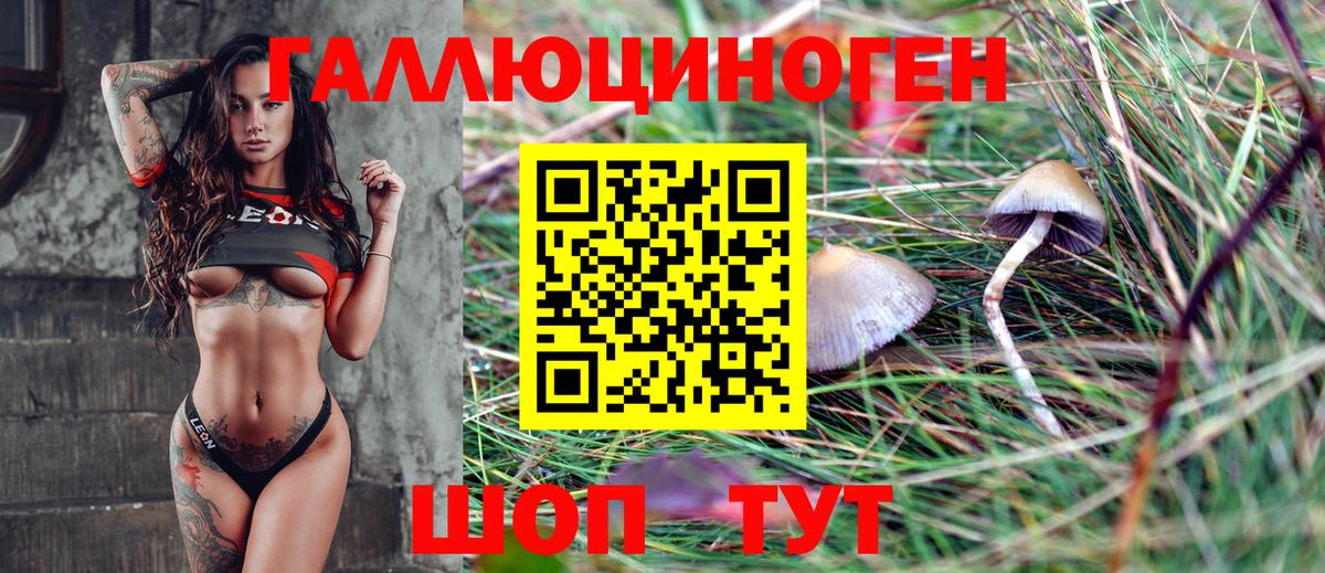 Псилоцибиновые грибы Cubensis Вятские Поляны