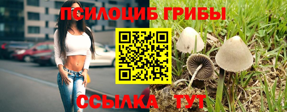 Вятские Поляны  Галлюциногенные грибы ЛСД  даркнет сайт  Вход с VPN 