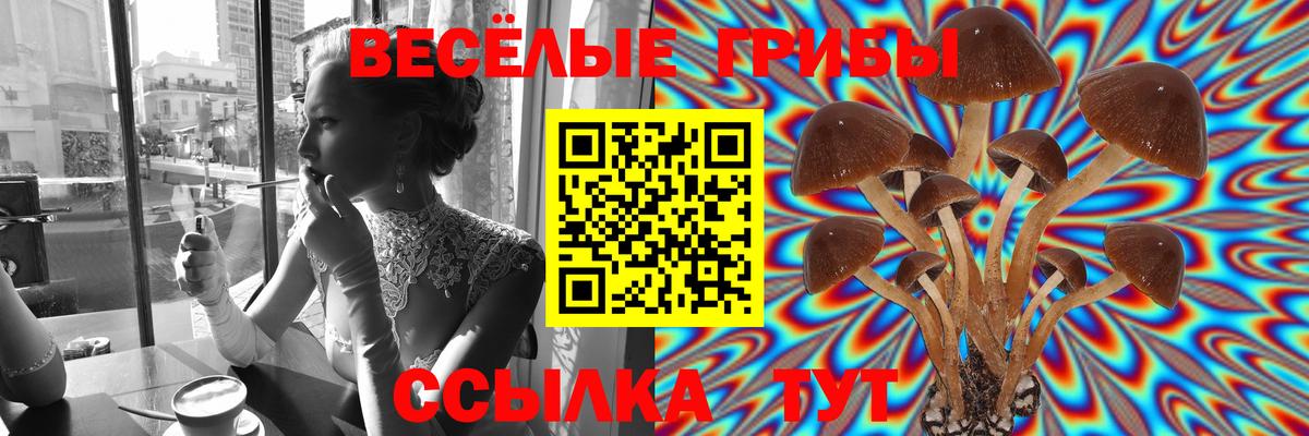 цены наркотик  Вятские Поляны  Псилоцибиновые грибы GOLDEN TEACHER  Псилоцибиновые грибы MAGIC MUSHROOMS 